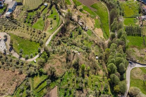 Terra a Covilha, Castelo Branco, Covilha - € 20.000 | Ref: 111260082 - foto 14