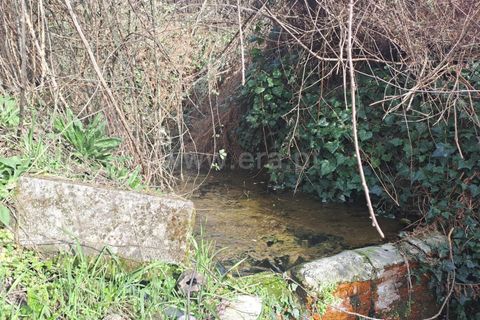 Terra a Covilha, Castelo Branco, Covilha - € 20.000 | Ref: 111260082 - foto 15