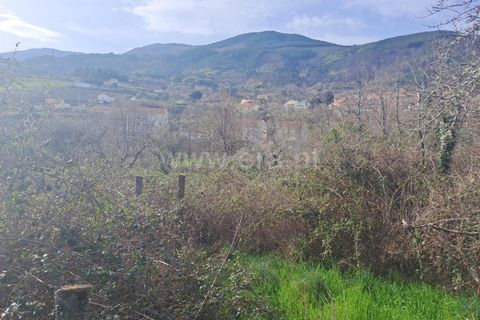 Terra a Covilha, Castelo Branco, Covilha - € 20.000 | Ref: 111260082 - foto 17