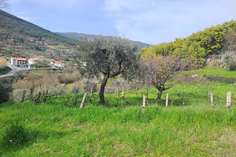 Terra a Covilha, Castelo Branco, Covilha - € 20.000 | Ref: 111260082 - foto 18