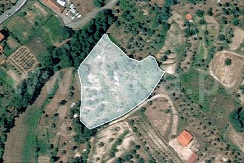 Terra a Covilha, Castelo Branco, Covilha - € 20.000 | Ref: 111260082 - foto 19
