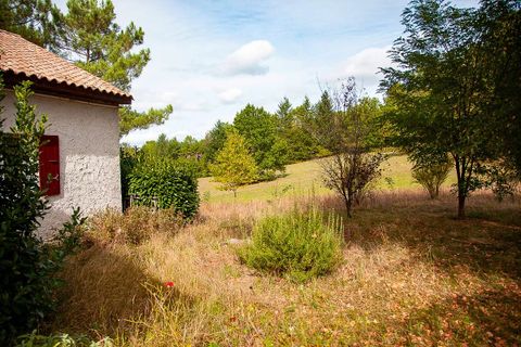 Villa i Cazals, Lot, Cazals - € 236.600 | Ref: BVI71062 - foto 12