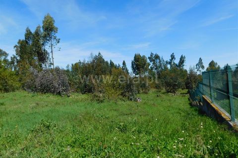 Helårsgrund i Seia, Guarda, Seia - € 95.000 | Ref: 382260030 - foto 4