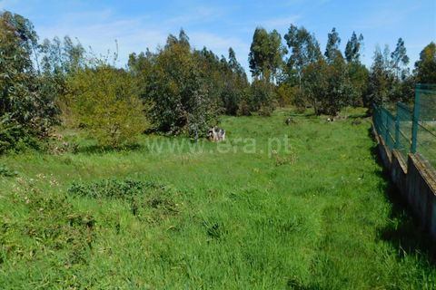 Helårsgrund i Seia, Guarda, Seia - € 95.000 | Ref: 382260030 - foto 5