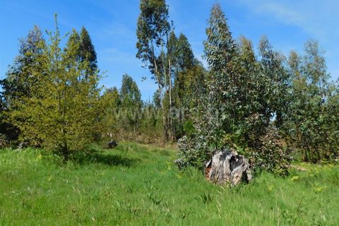 Helårsgrund i Seia, Guarda, Seia - € 95.000 | Ref: 382260030 - foto 6