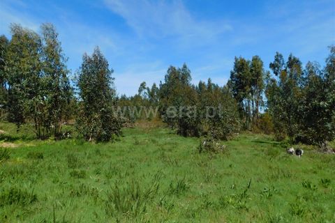 Helårsgrund i Seia, Guarda, Seia - € 95.000 | Ref: 382260030 - foto 7