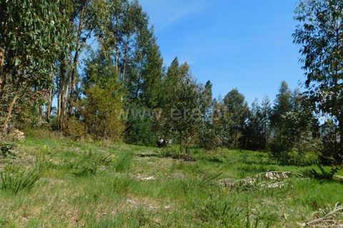 Helårsgrund i Seia, Guarda, Seia - € 95.000 | Ref: 382260030 - foto 8
