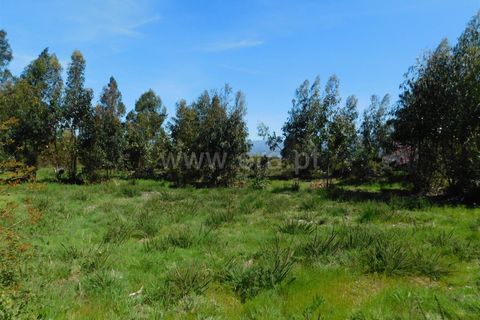 Helårsgrund i Seia, Guarda, Seia - € 95.000 | Ref: 382260030 - foto 9