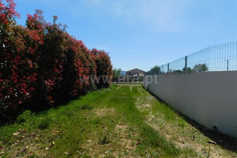 Helårsgrund i Seia, Guarda, Seia - € 95.000 | Ref: 382260030 - foto 12