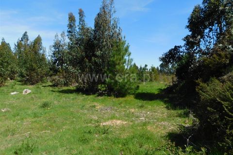 Helårsgrund i Seia, Guarda, Seia - € 95.000 | Ref: 382260030 - foto 13