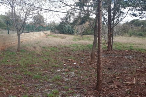 Villa i Le Bosc, Herault, Le Bosc - € 420 000 | Ref: 342436599 - foto 13