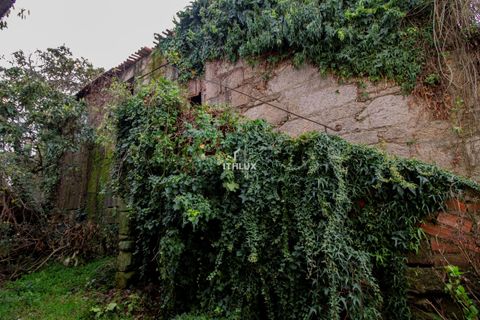 Villa a Nelas, Viseu, Nelas - € 65.000 | Ref: ITH4153 - foto 6