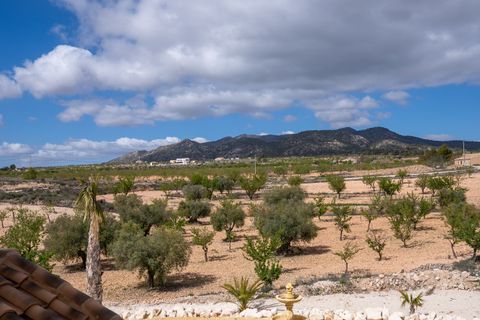 Villa i Pinoso, Alicante, Pinoso - € 599.000 | Ref: CF3322 - foto 42