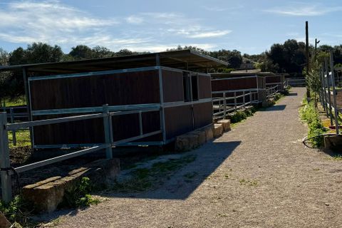 Villa a Costitx, Mallorca, Costitx - € 1.350.000 | Ref: 2288 - foto 16