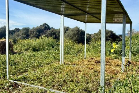 Villa a Costitx, Mallorca, Costitx - € 1.350.000 | Ref: 2288 - foto 17
