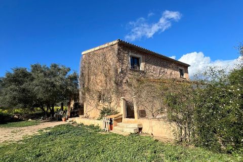 Villa a Costitx, Mallorca, Costitx - € 1.350.000 | Ref: 2288 - foto 19