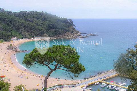 Villa i Lloret De Mar, Gerona, Lloret De Mar - € 530.000 | Ref: 2531 - foto 31