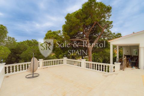 Villa i Lloret De Mar, Gerona, Lloret De Mar - € 530.000 | Ref: 2531 - foto 20