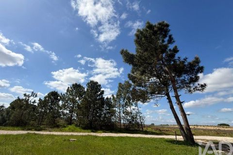 Terra a Palmela, Setubal, Palmela - € 29.900 | Ref: 859178 - foto 2