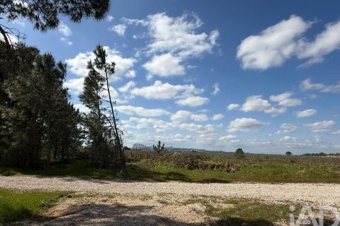 Terra a Palmela, Setubal, Palmela - € 29.900 | Ref: 859178 - foto 3