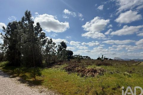Terra a Palmela, Setubal, Palmela - € 29.900 | Ref: 859178 - foto 4