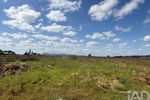 Terra a Palmela, Setubal, Palmela - € 29.900 | Ref: 859178 - foto 5