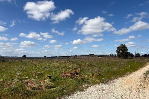 Terra a Palmela, Setubal, Palmela - € 29.900 | Ref: 859178 - foto 6