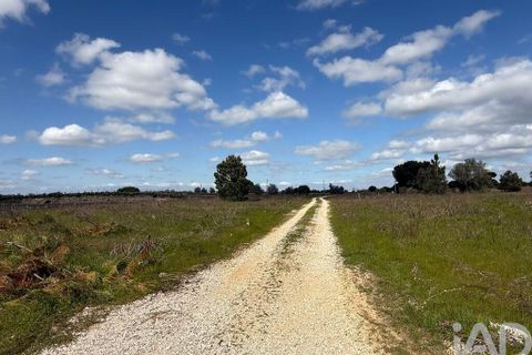 Terra a Palmela, Setubal, Palmela - € 29.900 | Ref: 859178 - foto 7