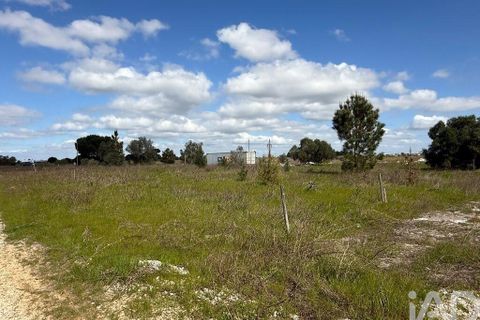 Terra a Palmela, Setubal, Palmela - € 29.900 | Ref: 859178 - foto 8