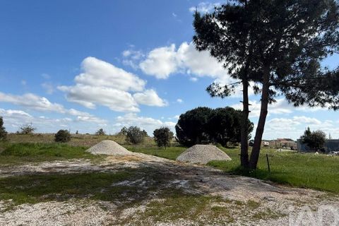 Terra a Palmela, Setubal, Palmela - € 29.900 | Ref: 859178 - foto 9