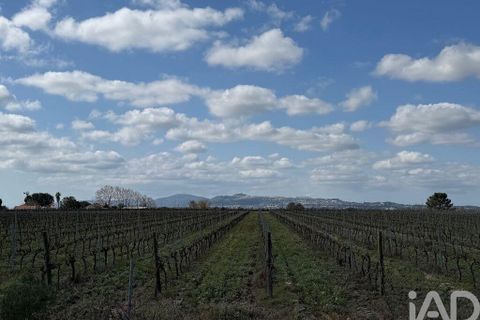 Terra a Palmela, Setubal, Palmela - € 29.900 | Ref: 859178 - foto 10