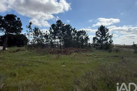 Terra a Palmela, Setubal, Palmela - € 29.900 | Ref: 859178 - foto 12