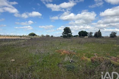 Terra a Palmela, Setubal, Palmela - € 29.900 | Ref: 859178 - foto 13