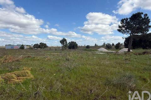 Terra a Palmela, Setubal, Palmela - € 29.900 | Ref: 859178 - foto 14