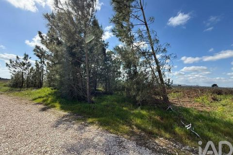 Terra a Palmela, Setubal, Palmela - € 29.900 | Ref: 859178 - foto 15