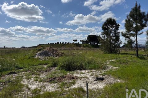 Terra a Palmela, Setubal, Palmela - € 29.900 | Ref: 859178 - foto 17