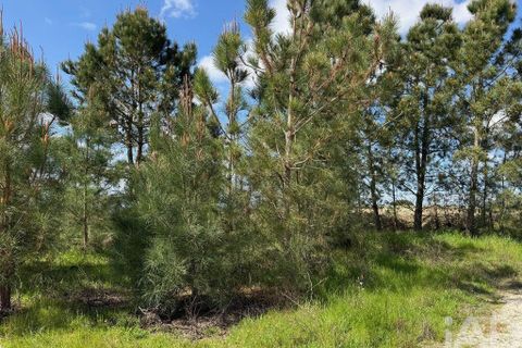 Terra a Palmela, Setubal, Palmela - € 29.900 | Ref: 859178 - foto 18