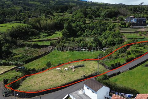 Helårsgrund i Sao Roque do Pico, Pico, Sao Roque do Pico - € 90.000 | Ref: 374260072 - foto 4