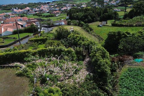 Helårsgrund i Sao Roque do Pico, Pico, Sao Roque do Pico - € 90.000 | Ref: 374260072 - foto 5