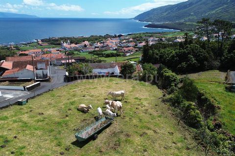 Helårsgrund i Sao Roque do Pico, Pico, Sao Roque do Pico - € 90.000 | Ref: 374260072 - foto 6