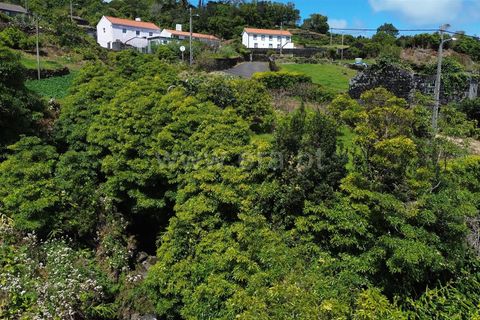 Helårsgrund i Sao Roque do Pico, Pico, Sao Roque do Pico - € 90.000 | Ref: 374260072 - foto 8