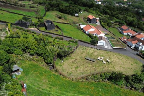 Helårsgrund i Sao Roque do Pico, Pico, Sao Roque do Pico - € 90.000 | Ref: 374260072 - foto 11