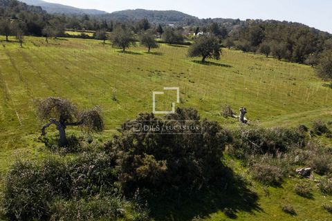 Helårsgrund i Ibiza, Ibiza, Ibiza - € 850.000 | Ref: IBZ68027 - foto 10