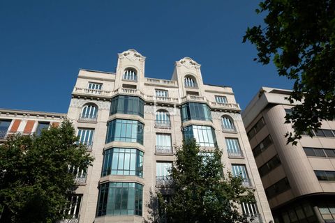 Leilighet i Madrid, Madrid, Madrid - € 7 650 000 | Ref: MAD68034 - foto 13