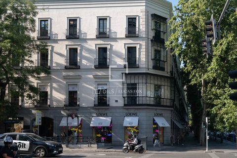 Leilighet i Madrid, Madrid, Madrid - € 7 650 000 | Ref: MAD68034 - foto 15