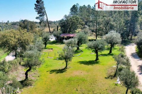 Helårsgrund i Castelo Branco, Castelo Branco, Castelo Branco - € 13.500 | Ref: 21-11875 - foto 4