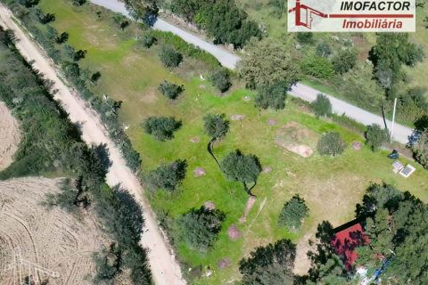 Helårsgrund i Castelo Branco, Castelo Branco, Castelo Branco - € 13.500 | Ref: 21-11875 - foto 6