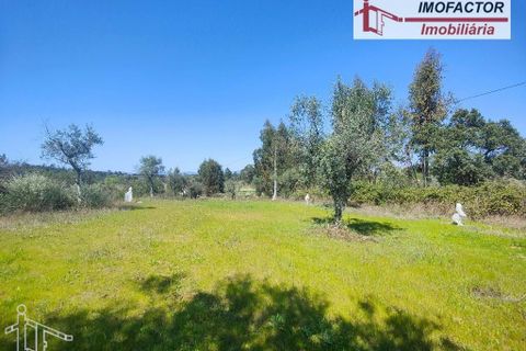 Helårsgrund i Castelo Branco, Castelo Branco, Castelo Branco - € 13.500 | Ref: 21-11875 - foto 12