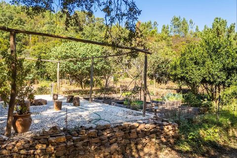 Villa a Monchique, Faro, Monchique - € 395.000 | Ref: SVP2439b - foto 5