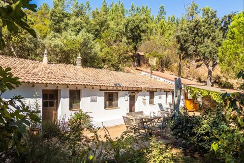 Villa a Monchique, Faro, Monchique - € 395.000 | Ref: SVP2439b - foto 6